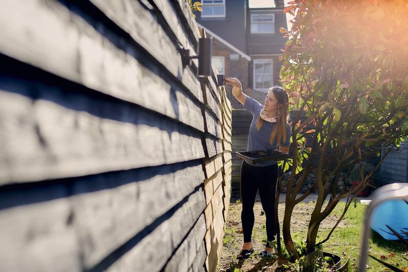 Woman paints an old backyard fence on a foreclosed property for sale.